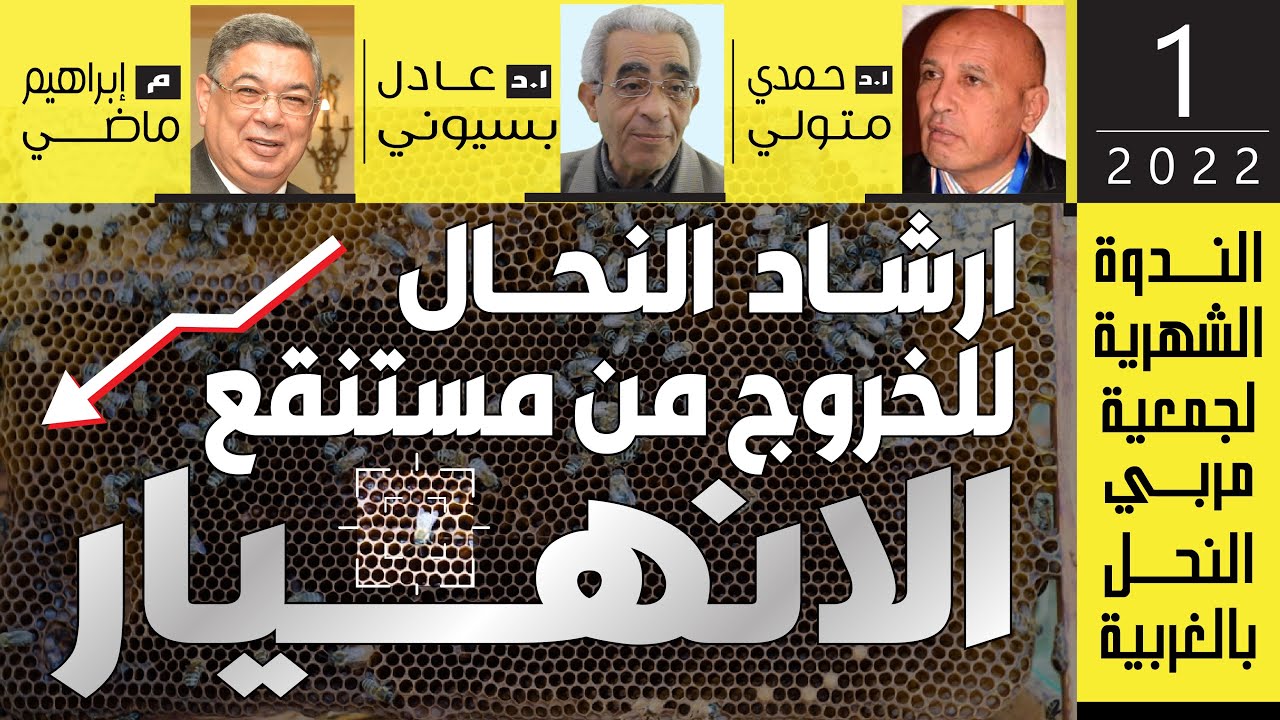 ارشاد النحال للخروج من مستنقع الانهيار ( الندوة الشهرية لجمعية مربي النحل بالغربية - يناير 2022 )