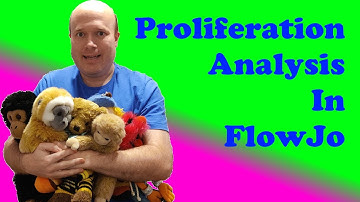 Proliferation in FlowJo