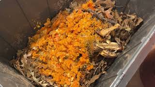 Pumpkin Spice -- Pre-composting Free Autumn Waste for Food for Our Worm Bins