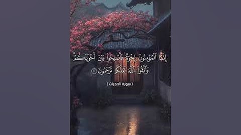 ما تيسر من سورة الحجرات