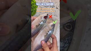 Tips cara memilih ikan segar #ikan #ikansegar #tips #shots Tips cara memilih ikan segar #ikan #ikansegar #tips #shots