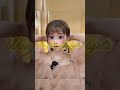 Elegant Sheer Ribbon Butterfly Bow Hair Clip (1pc) – Rs. 2,700