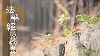 【靜思妙蓮華】法華經譬喻品 - 覺四相苦 恆持正念 - 20201208 第585集