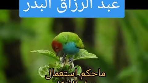 ماحكم أستعمال عداد الأذكار أو المسبحة الشيخ عبد الرزاق البدر حفظه الله