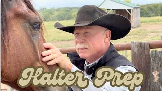 The Mustang Journey - Episode 4 - Preparing For Halter Using a Rope
