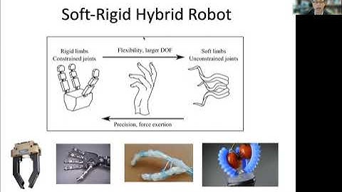 IidaIROS2021WSTalk: Model-based design and control of soft robots
