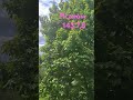 Господи,простри с высоты руку Твою