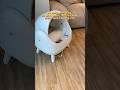 Catlink self cleaning cat litter box #catlink #automaticlitterbox #ailitterbox #cat #catlitterbox