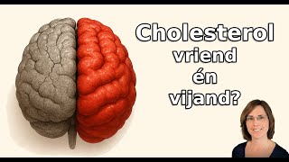 Waarom te veel en te weinig Cholesterol schadelijk is