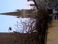 Bells Of The Basilica Nancy France 