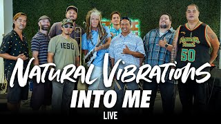 Natural Vibrations - Into Me (Live)