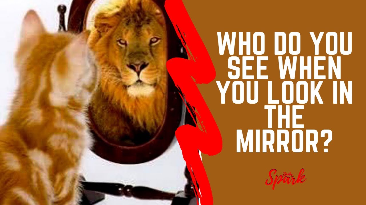 When you look in the mirror who do you see? - YouTube