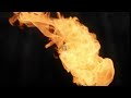 Beginning of video
