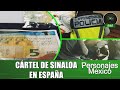Desmantelan red del Cártel de Sinaloa en España; decomisan casi dos toneladas de drogas