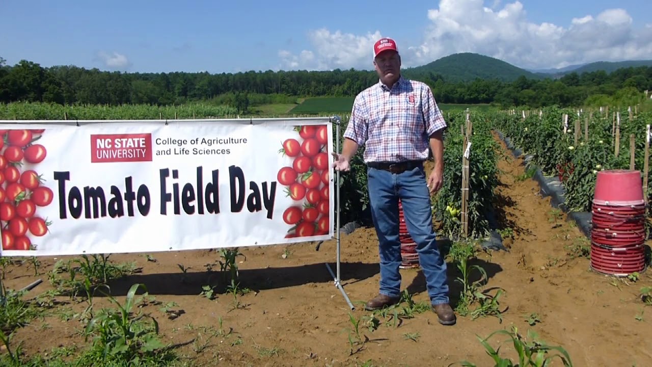 Virtual Tomato Field Day 2020-- Welcome from Jeff Chandler, Director of MHCREC