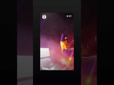 Pnl Deux Frères Le M