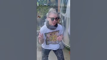 Starlink from SpaceX for vintage Airstream trailer #airstreamliving #starlink #spacex #thewildslife