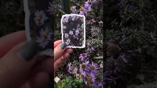 Patreon Stickers For October