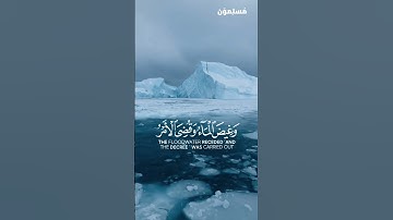 وَقِيلَ يَا أَرْضُ ابْلَعِي مَاءَكِ وَيَا سَمَاءُ أَقْلِعِي - تلاوة خاشعة - القارئ: ناصر القطامي.