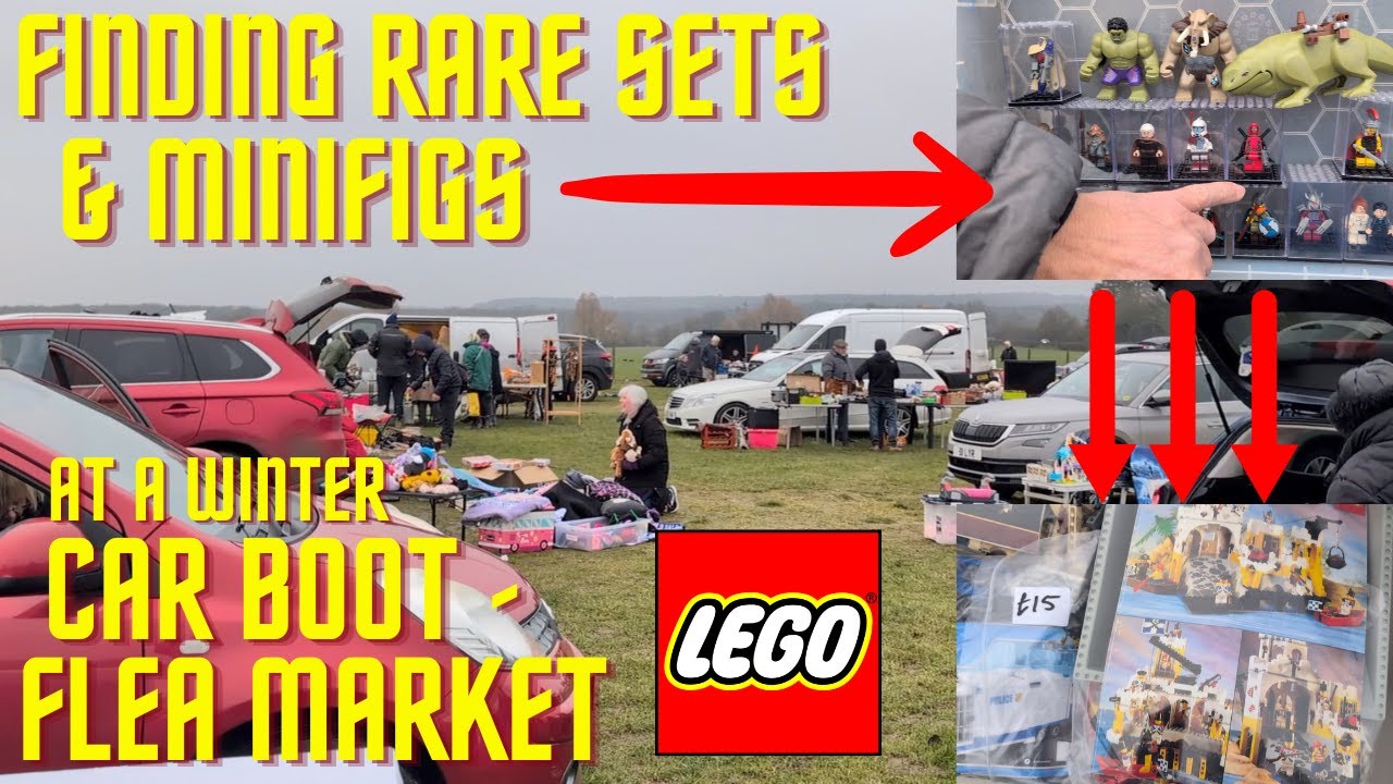 Зимний автомобильный чехол — Распродажа на блошином рынке — Поиск редких наборов LEGO и минифигурок