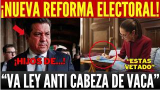 MARTILLAZO ¡CLAUDIA SACA AS! PROPONE NUEVA REFORMA. LEY ANTI CABEZA DE VACA. PANISTAS EN SHOCK