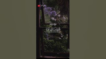 تلاوة في قمه الخشوع من سورة مريم 🎧❤️‍🩹 #اكسبلور #أرح_سمعك_وقلبك #طمئن_قلبك #سورة_مريم #حالات_واتس