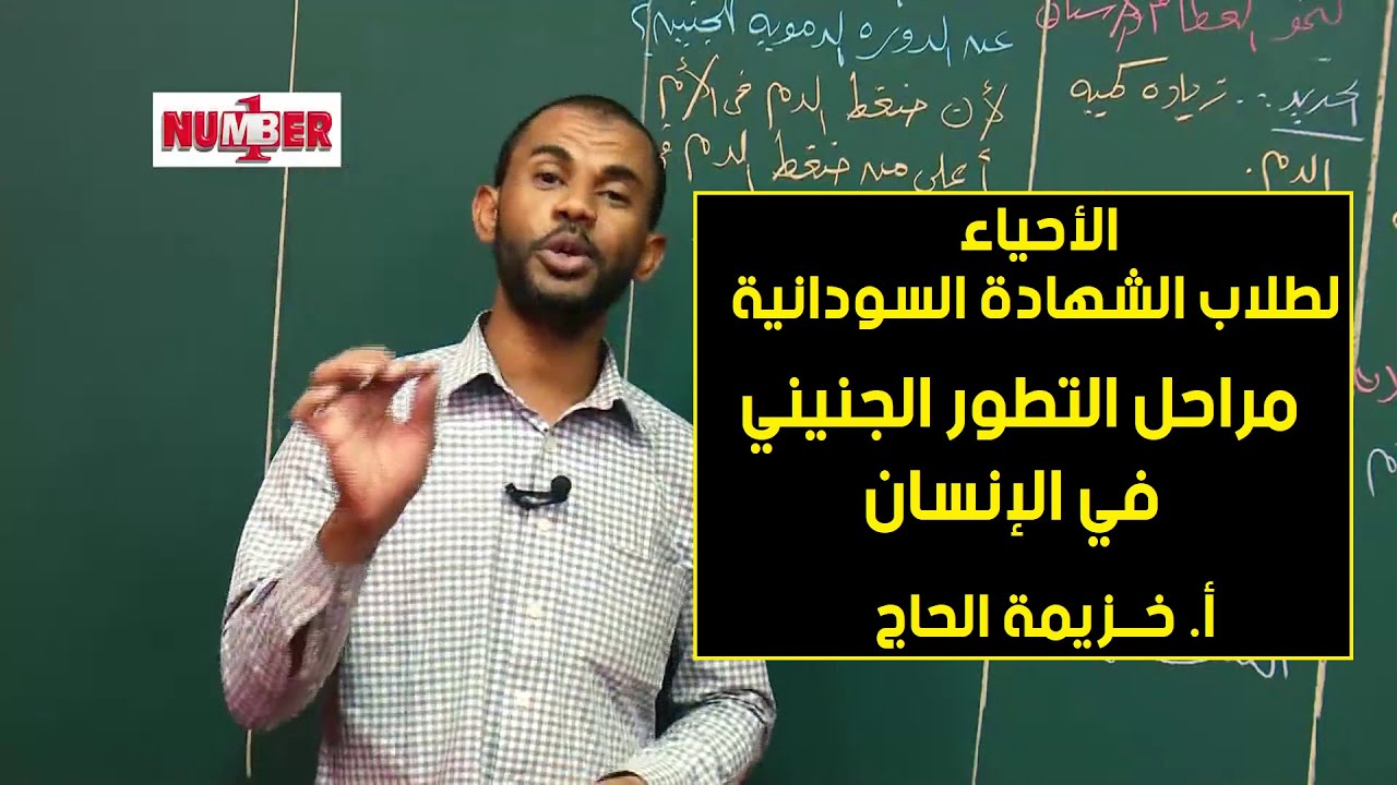 الأحياء | مراحل التطور الجنيني في الإنسان | أ. خزيمة الحاج | حصص الشهادة السودانية