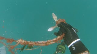 ХОЛОДНАЯ МОРСКАЯ ОХОТА. ПОДНЯЛ КОШКУ! ХОЛОДНАЯ МОРСКАЯ ОХОТА. ПОДНЯЛ КОШКУ!