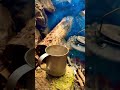 (13) 森で最悪なエリアを、最高の場所に開拓！　(森に寒波到来❗️焚き火で暖をとりながら、山小屋の屋根材加工！)