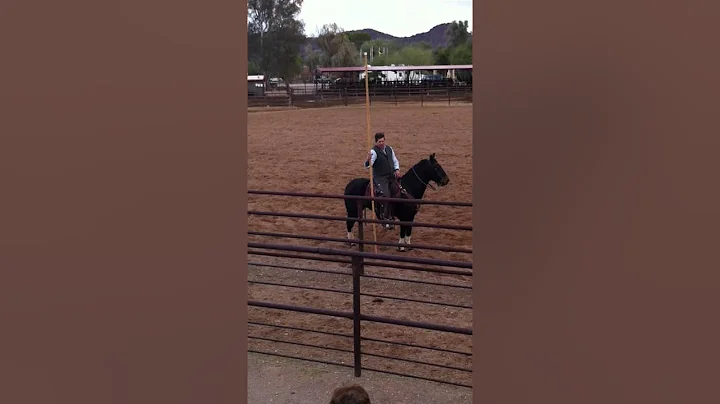 Super Amazing Horse Demo