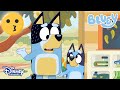 Babacık | Bluey | Disney Channel TR