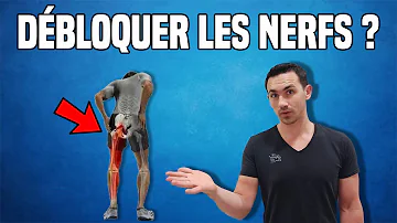 Comment débloquer un nerf hanche ?