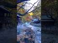 Takaragawa hot springs ♨️ #hotspring #japan