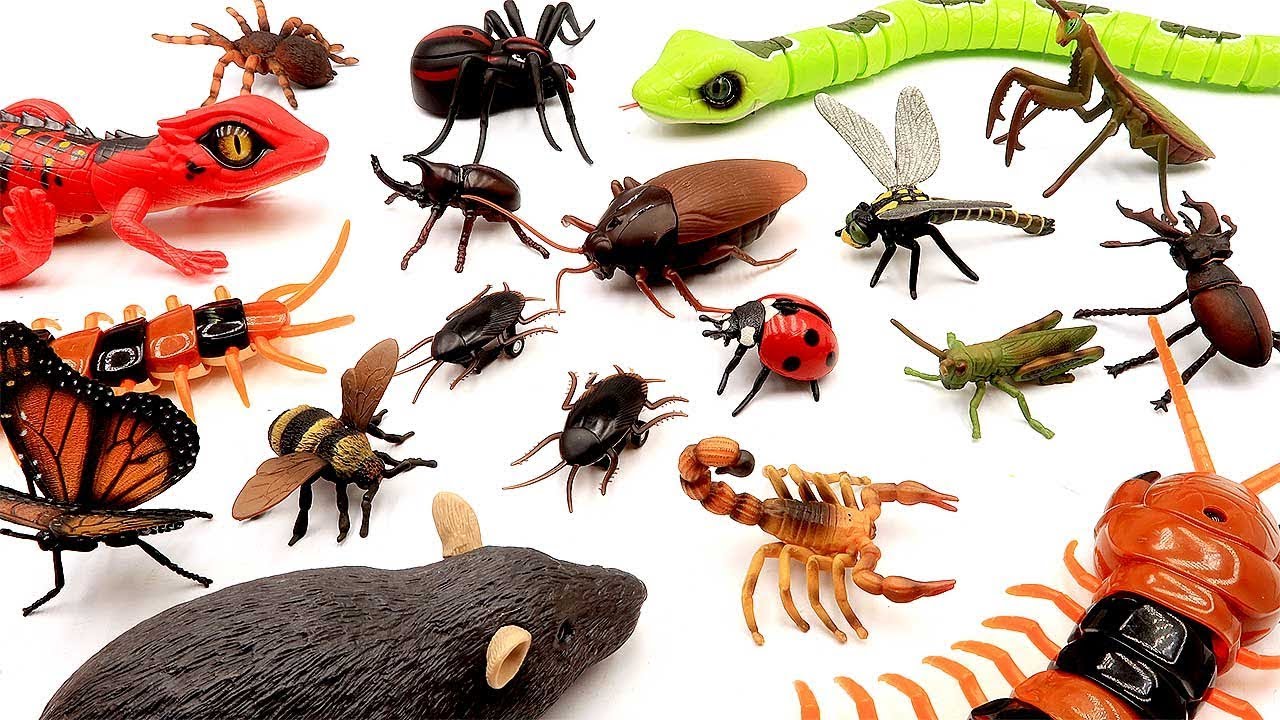 72 Piece Toy VL134 Assorted Insects U.S 