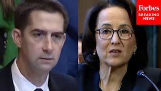 'Are People In Wisconsin Deeply Racist?': Tom Cotton Grills Dem Judicial Nominee