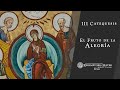 Tercera Catequesis: El Fruto de la Alegría