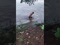 Heartstopping moment swimmer faces race for his life as alligator closes in shorts