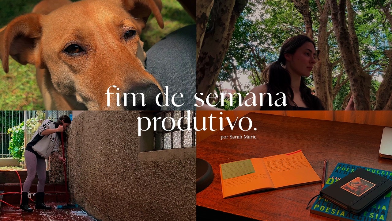 calor chegando, colocando a casa em ordem e livros que estou lendo.