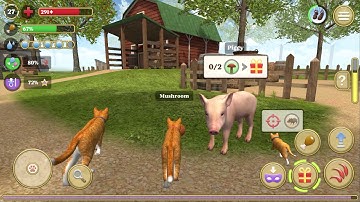 Cat Simulator 2020 #10 (Avelog) | Android Gameplay HD