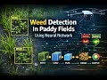 Weed Detection In Paddy Fields Using Neural Network