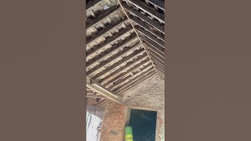 The Swallows Are Back On The Farm