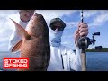 Surprisingly Great Inshore Fishing in Magdalena Bay | Stoked On Fishing - Full Episode |