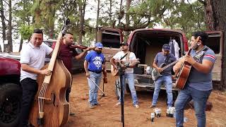 Los hermanos Barrera - Los Potrillos de Turicato - La maldita pobreza (Música de cuerda) Acústica