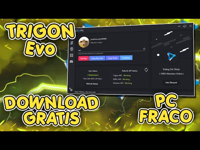 MELHOR EXECUTOR PARA PC FRACO FUNCIONANDO! Trigon EVO 