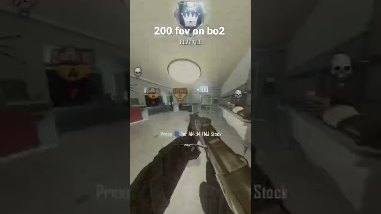 What 200 fov looks like on bo2