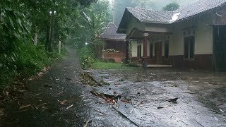 WALK IN RAIN A BEAUTIFUL VILLAGE AMBIENCE  || Full video