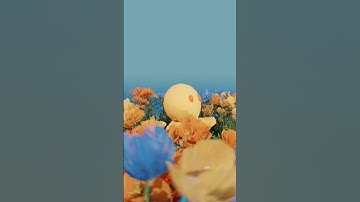 Getting back up again: Rap Snitch Knitsches 3D Animation Edit #trippy #flowers #indieedit