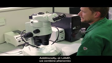 The PathoViewer, an automated multispectral phenotyping platform