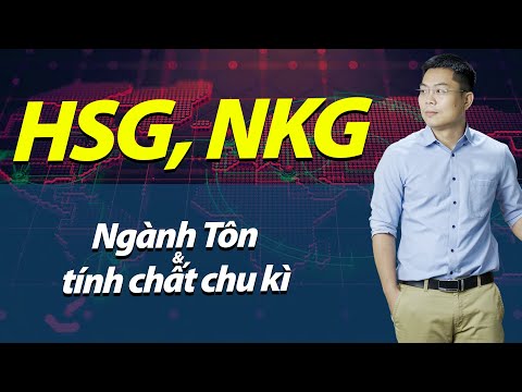 Video NHÓM CỔ PHIẾU THÉP HSG, NKG - TÌNH HÌNH CÓ ĐÁNG LO ? |... - youtube