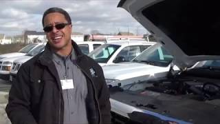 Tips From a Tech - How to Keep Mice Out of Your Car